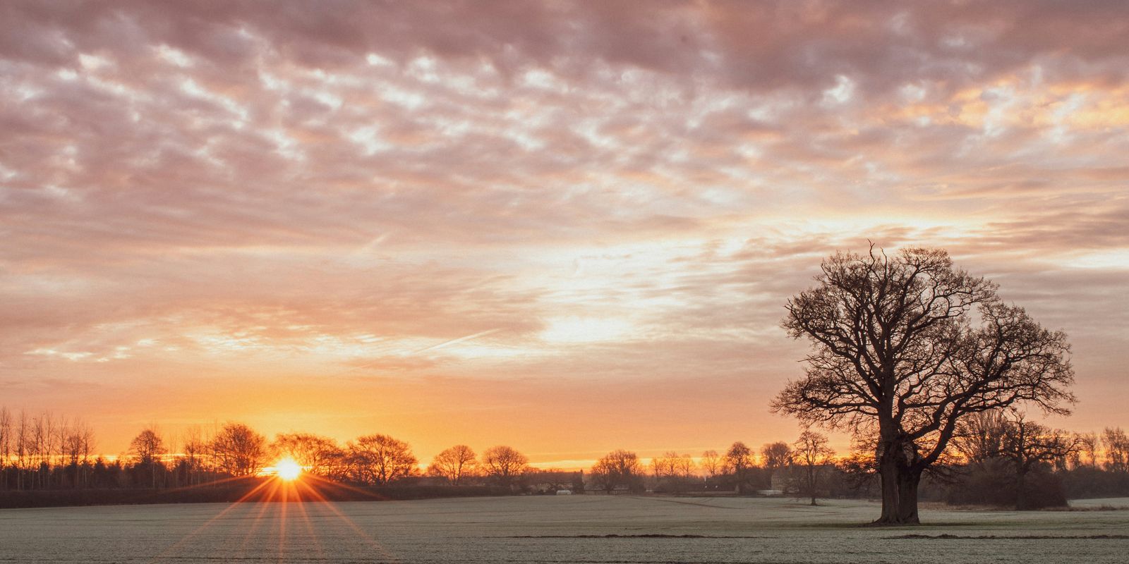 Soleil d'hiver sur un champ givré